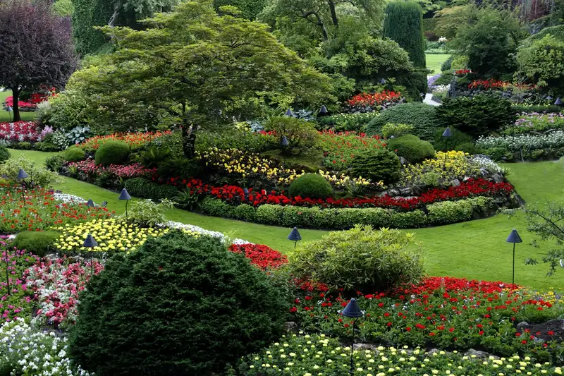 Manicured Landscape